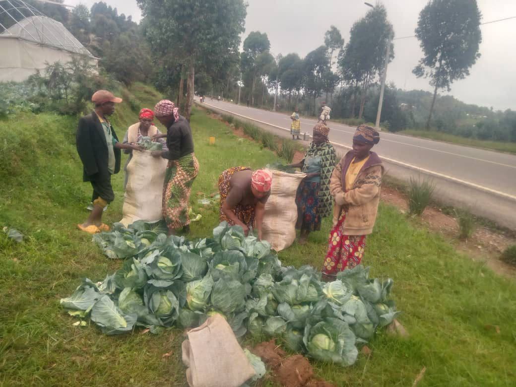 Community Development