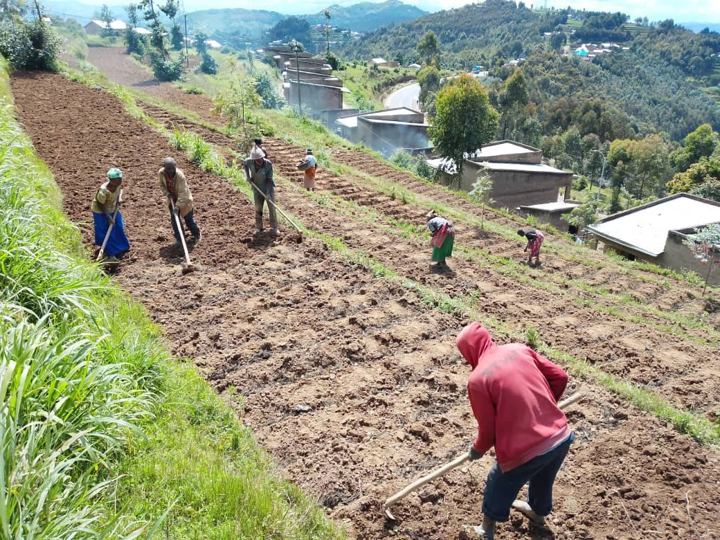 Community Development